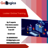 looker training - Picture Box