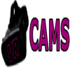 LOGO - VRCAMS