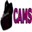 LOGO - VRCAMS