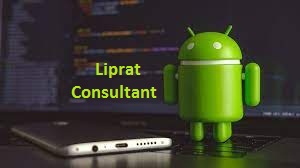 Best IT Software Training Institute & Job Consulta Liprat Consulting