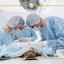 Surgery - Call Ahead Veterinary