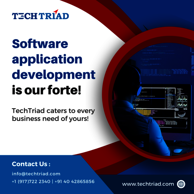 Application development techtraid Picture Box