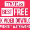 TikTok Downloader - Picture Box