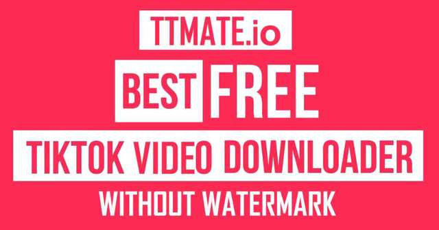 TikTok Downloader Picture Box