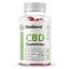 download - BioBlend CBD Gummies