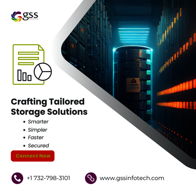 GSS SP - Crafting Tailored Data Storage Solutions GSS Infotech Managed Servings