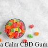 Thera Calm CBD Gummies