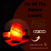 httpshimalayansalterz.com (6) - salt lamp