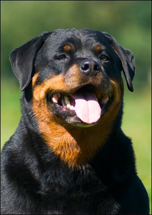 118773312 978356192640631 8163901485964465055 n - 