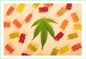 2023 7$thumbimg 554396782 Alpha Max Burn CBD Gummies Audits - It Is 100% Normal and Safe