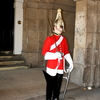 Guard 1831 - London, April 2009