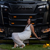 Truck- & Countryfest Saalha... - Truck- & Countryfest Saalha...