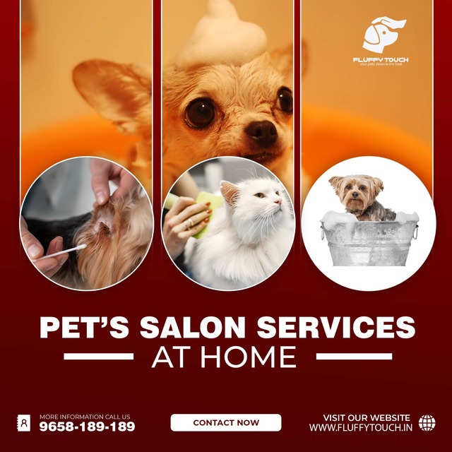 Fluffy Touh Picture Box