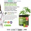 Smart-Hemp-Gummies-1 - Smart Hemp Gummies Australia Benefits, Official Website & Reviews