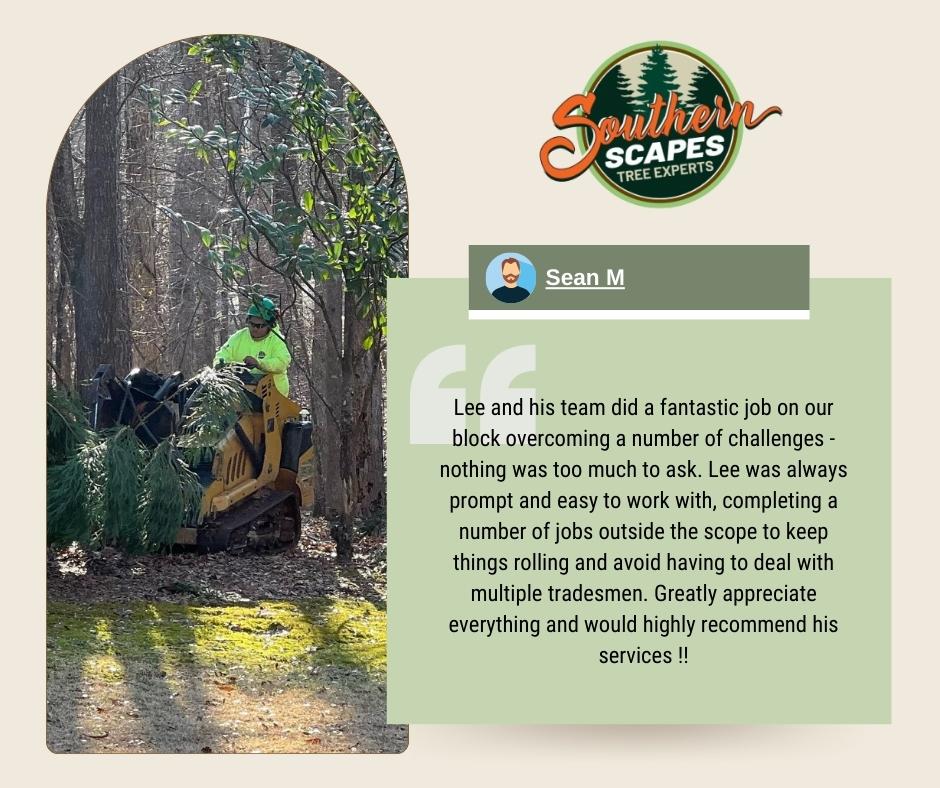 tree-removal-services Picture Box