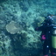 DSCN2447 - Scuba Tanzania Mikindani Bay Humpbacks Reefs