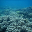 DSCN2453 - Scuba Tanzania Mikindani Bay Humpbacks Reefs