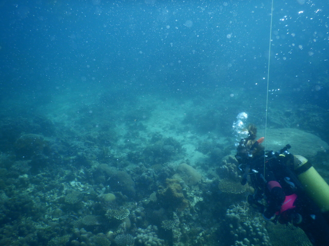DSCN2457 Scuba Tanzania Mikindani Bay Humpbacks Reefs
