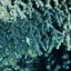 DSCN2460 - Scuba Tanzania Mikindani Bay Humpbacks Reefs