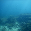 DSCN2464 - Scuba Tanzania Mikindani Bay Humpbacks Reefs
