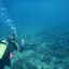 DSCN2488 - Scuba Tanzania Mikindani Bay Humpbacks Reefs