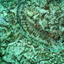 DSCN2493 - Scuba Tanzania Mikindani Bay Humpbacks Reefs