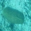 DSCN2499 - Scuba Tanzania Mikindani Bay Humpbacks Reefs
