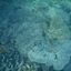 DSCN2504 - Scuba Tanzania Mikindani Bay Humpbacks Reefs