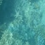 DSCN2508 - Scuba Tanzania Mikindani Bay Humpbacks Reefs