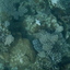 DSCN2509 - Scuba Tanzania Mikindani Bay Humpbacks Reefs