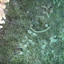 DSCN2510 - Scuba Tanzania Mikindani Bay Humpbacks Reefs