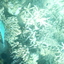 DSCN2511 - Scuba Tanzania Mikindani Bay Humpbacks Reefs