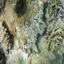 DSCN2525 - Scuba Tanzania Mikindani Bay Humpbacks Reefs