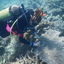 DSCN2526 - Scuba Tanzania Mikindani Bay Humpbacks Reefs