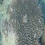 DSCN2534 - Scuba Tanzania Mikindani Bay Humpbacks Reefs