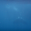 DSCN2556 - Scuba Tanzania Mikindani Bay Humpbacks Reefs