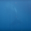 DSCN2561 - Scuba Tanzania Mikindani Bay Humpbacks Reefs