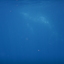 DSCN2569 - Scuba Tanzania Mikindani Bay Humpbacks Reefs
