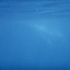 DSCN2572 - Scuba Tanzania Mikindani Bay Humpbacks Reefs