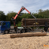 BSD Wald & Holz, Tag der of... - BSD Wald & Holz #truckpicsf...