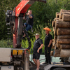 BSD Wald & Holz, Tag der of... - BSD Wald & Holz #truckpicsf...