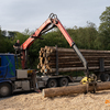 BSD Wald & Holz, Tag der of... - BSD Wald & Holz #truckpicsf...