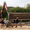 BSD Wald & Holz, Tag der of... - BSD Wald & Holz #truckpicsf...