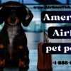 American Airlines Pet Policy Guidelines | +1-888-660-0563