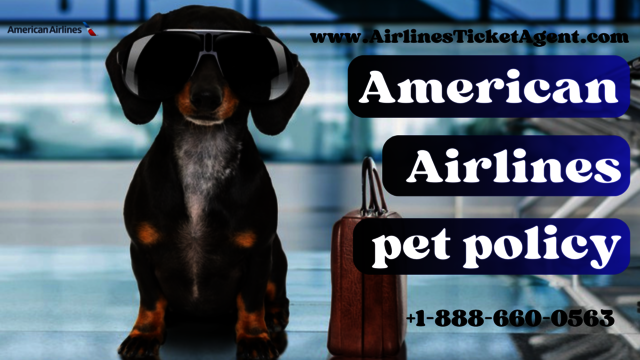 american-airlines-pet-policy (1) American Airlines Pet Policy Guidelines | +1-888-660-0563