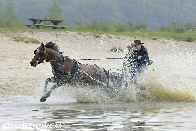 thumb1 foto's van website portfolio niet wegdoen