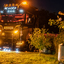 20 Jahre IFL Köln powered b... - 20 Jahre IFL, Köln, International Food Logistics #truckpicsfamily