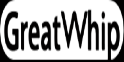 logo Guangdong Lesoo Technology Co Ltd.