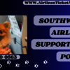 Southwest Airlines Support Dog Policy