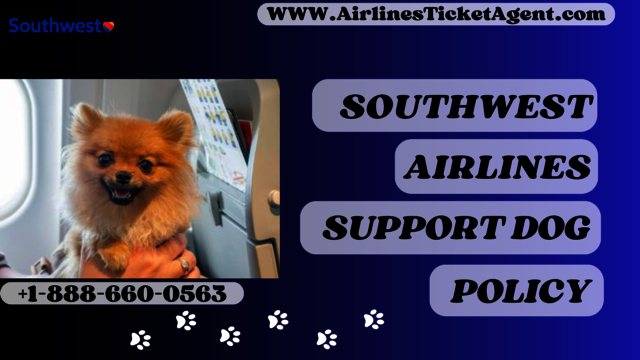 southwest-airlines-support-dog-policy (1) Southwest Airlines Support Dog Policy